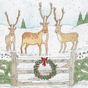 Xmas Cards (12 pack)